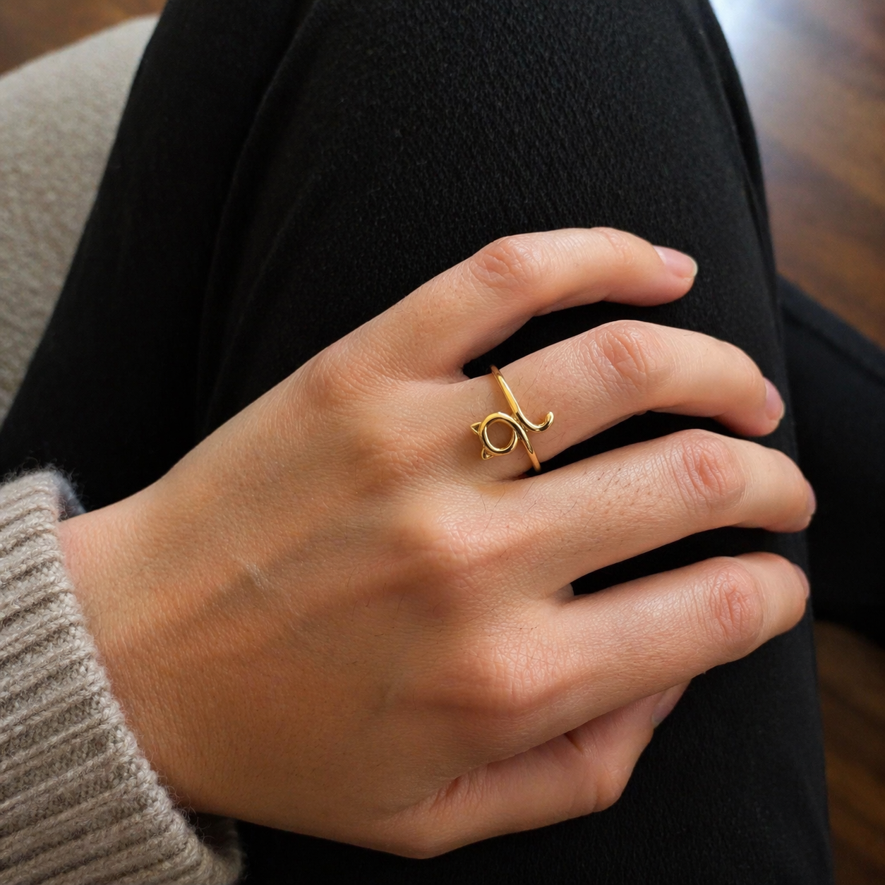 Anillo de gato