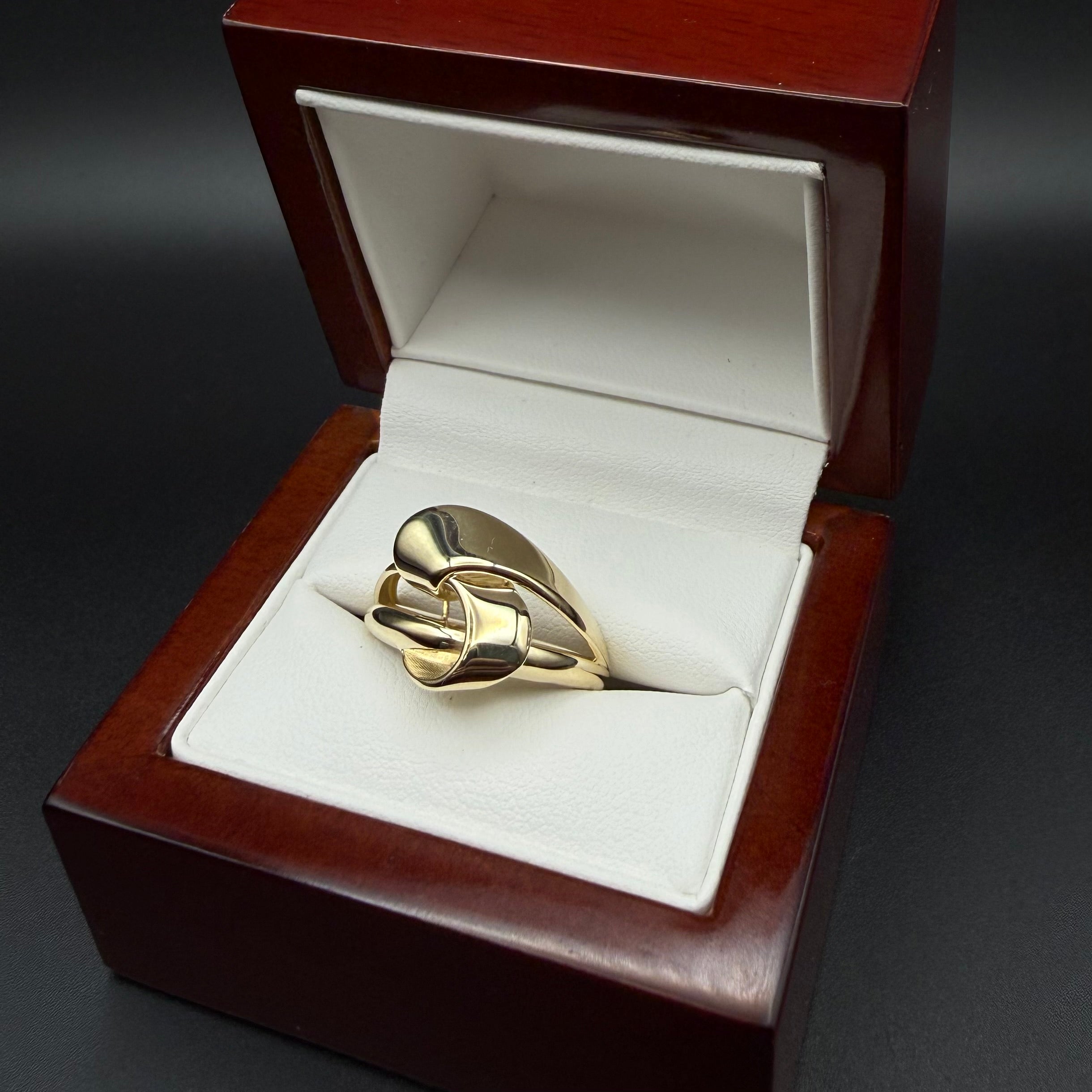 Anillo de Cinta Declarativa